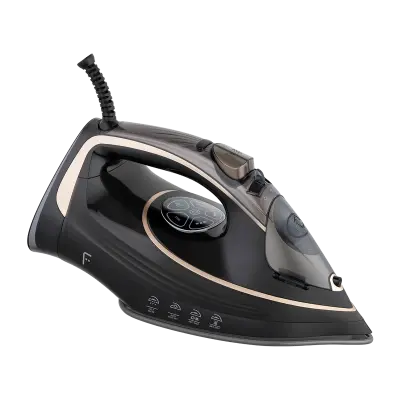 Onyx Buharlı Ütü - 2